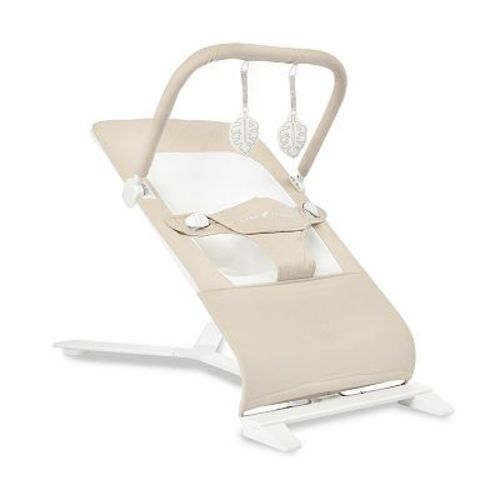 Baby Delight Alpine Deluxe Portable Bouncer