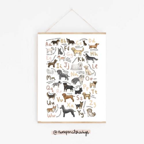 Dog Breeds Alphabet Print | Illustrated A-Z of Dog Breeds | Nursery Wall Art, Kids Room or Gift for Dog Lovers