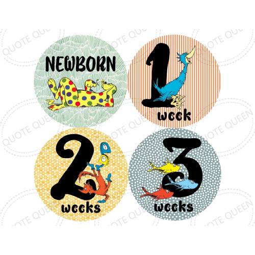 Dr Seuss, Thing 1 and Thing 2, Lorax, Monthly Stickers,Baby Shower Gift, Baby Nursery, Milestone Stickers, Cat in the Hat,Green Eggs and Ham
