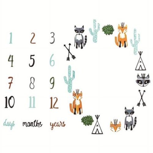 Casewin Baby Monthly Milestone Blanket, Neutral Personalized Month Blanket for Boy Girl Newborn Soft Plush Fleece Photography Background Bonus Felt Milestone Number