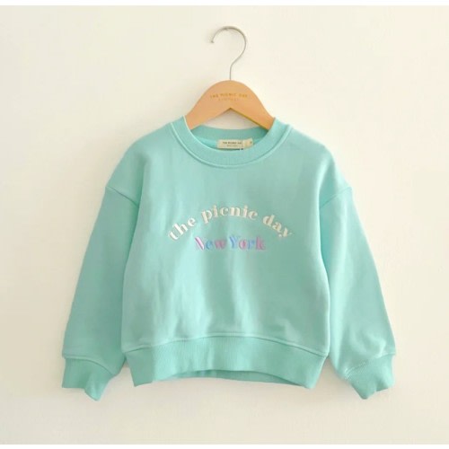 The Picnic Day Logo Sweatshirt- Mint color 
Size 12-18 M