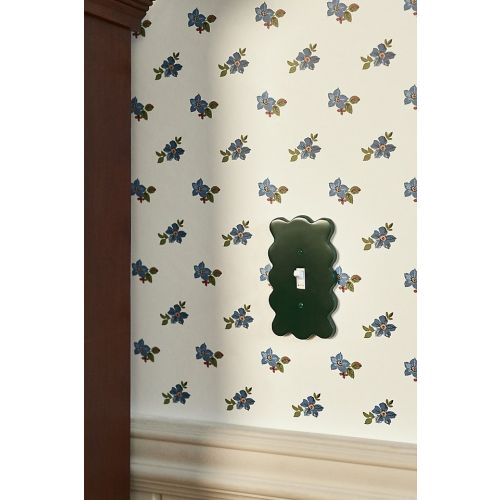 Wiggle Switch Plate