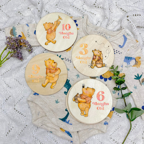 Winnie the pooh milestones, pooh bear baby milestones, winnie the pooh milestones, baby milestone cards, baby milestone discs, newborn weeks