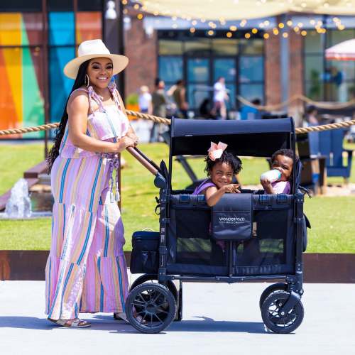W2 Luxe Double Stroller Wagon (2 Seater)