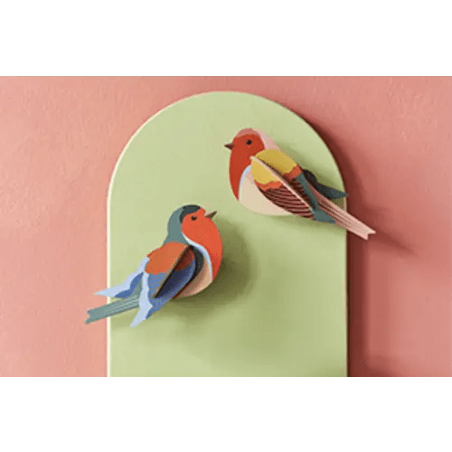 Paradise Bird, Olango - Studio ROOF