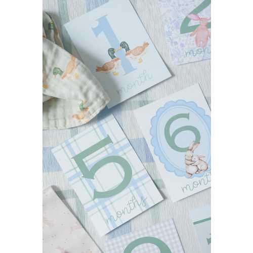 Baby Boy or Gender Neutral Milestone Cards, Storybook Cottage, Monthly Photo Props, Baby Shower Gift