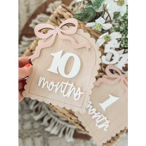 Monthly Signs - Blush Bow