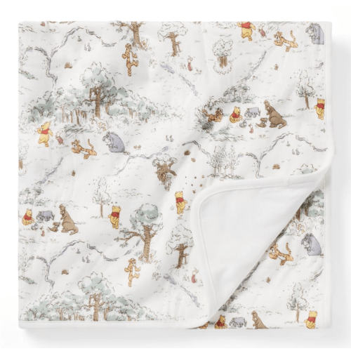 Newborn Jet Ivory Toile Disney Winnie The Pooh Baby Blanket by Janie and Jack
