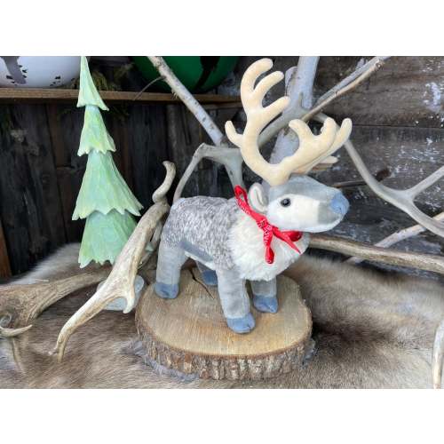 Sven - Sami Reindeer | Leavenworth Reindeer Farm