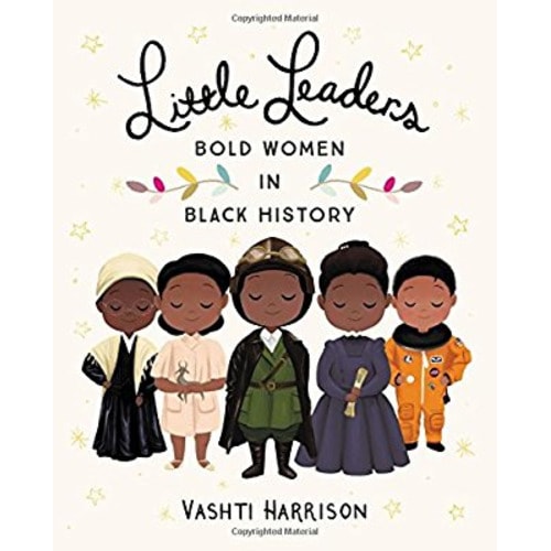 Little Leaders: Bold Women in Black History (Vashti Harrison)
