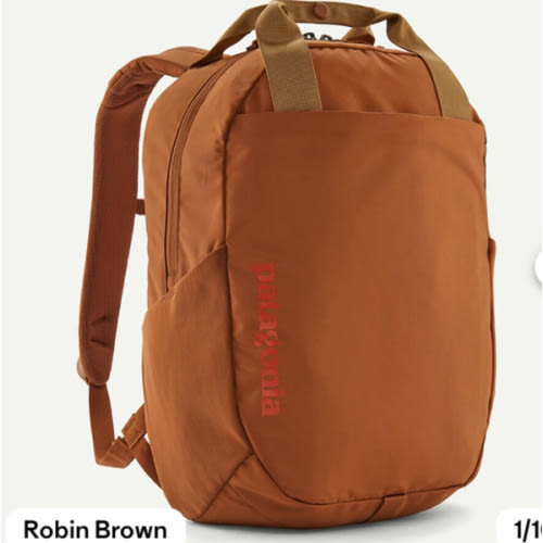 Patagonia Atom 20L - Diaper Bag