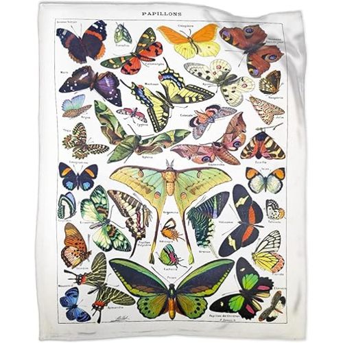 Vintage Butterflies Insects Blanket Gifts for Tarot Lover 40 x 50 Inch for Kid,Vintage Butterflies Insects Fannel Fleece Throw Blanket Super Soft Throws Blanket for Bed Couch Sofa