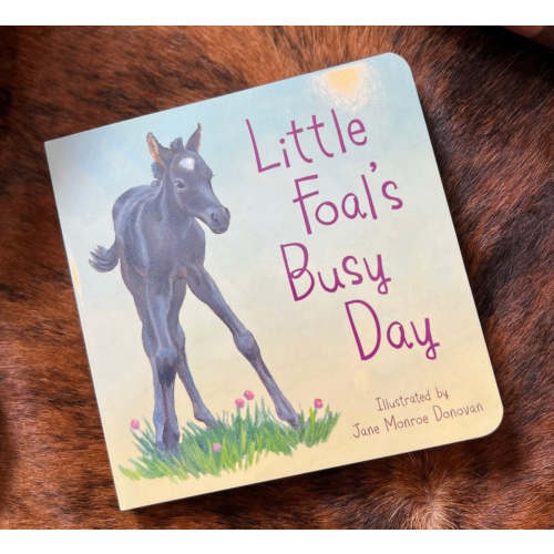 Little foals busy day kids book