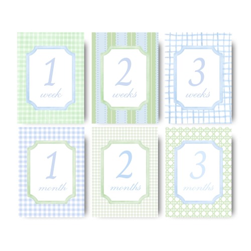 Milestone Cards Baby Boy Month Card Grandmillennial Pattern Newborn Baby Boy Month Cards Printable Milestone Sign Baby Photo Prop Newborn