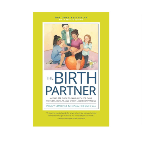 The Birth Partner, Sixth Revised Edition: A Complete Guide to Childbirth for Dads, Partners, Doulas, and Other Labor Companions