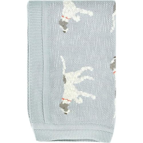 Creative Co-Op DF2527 40" L x 32" W Cotton Knit Baby Dog Blanket, Blue, Small