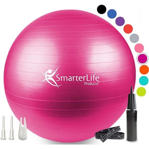 SmarterLife Birth Ball 65cm