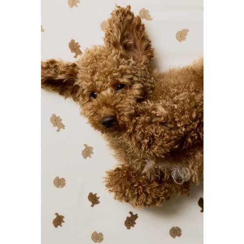 Fitted Crib Sheet - White/puppies - Home All | H&M US