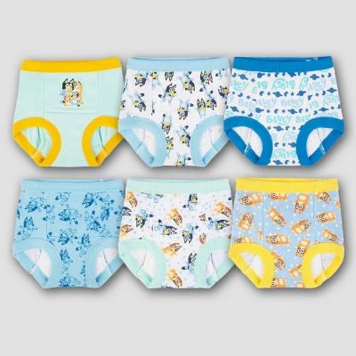 Toddler Bluey 6pk Training Underwear - 2t