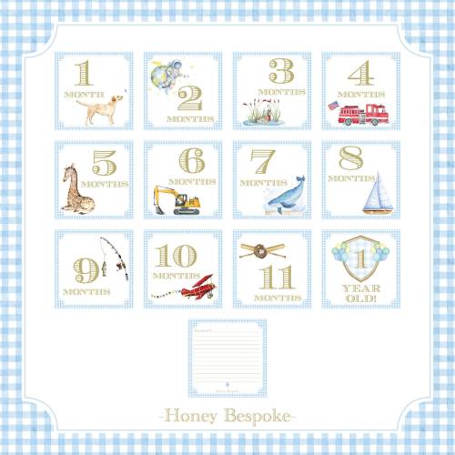 Baby Boy Milestone Cards / Baby Shower Gift Idea / Preppy Watercolor Monthly Milestone Cards/ Classic Milestone Cards For Boys / Gingham Boy