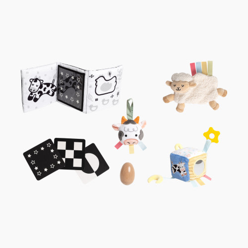 Pearhead 0-6 Months Baby Learning Toys Set