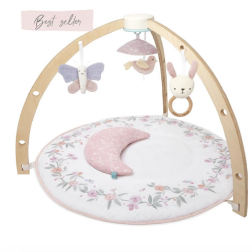 Baby Gym | Premium Baby Activity Gym | aden + anais
