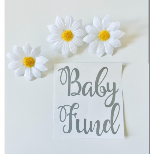 baby fund