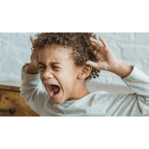 Big Feelers Parenting Course
