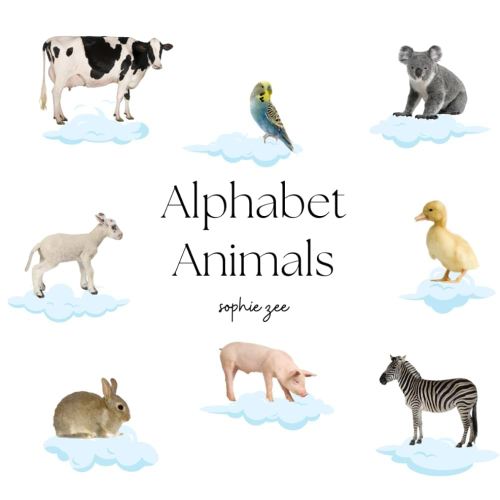 Alphabet Animals