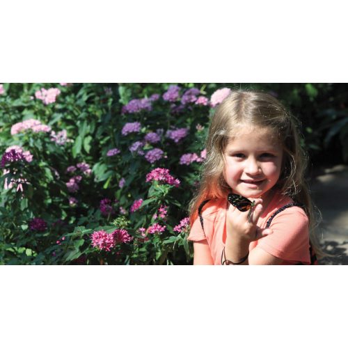 Gift Membership Certificates · Tennessee Aquarium