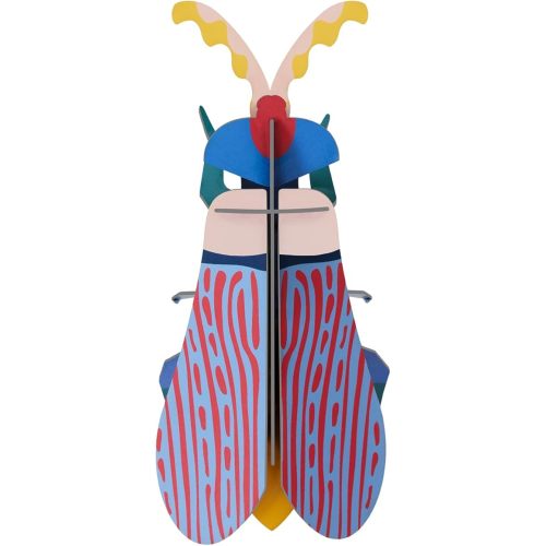 STUDIO ROOF, Wall Art Beetles, Striped Wing Beetle, Eco-Friendly & Creative Gift