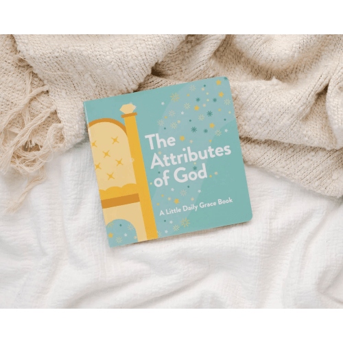 Attributes of God Kids Board Book – The Daily Grace Co.