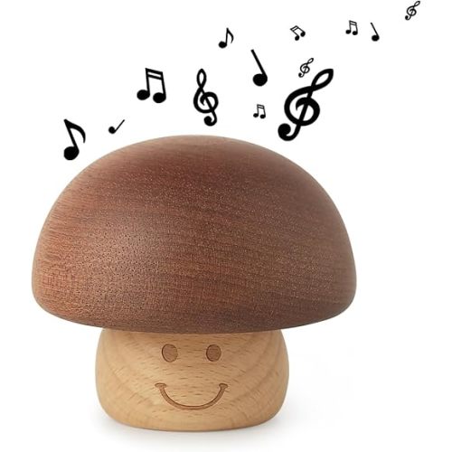 Wood Cute Mechanism Over The Rainbow Music Box Engraved Vintage Wind up Musical Gift for Wife Husband Boyfriend Girlfriend Women Birthday Valentine's Day Thanksgiving Day Christmas Anniversary