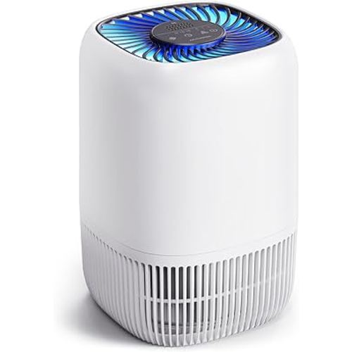 Amazon.com: Air Purifiers for Home with H13 Quiet HEPA Filter Up to 1076 Ft² for Pet Hair, Odors, Pollen, Smoke, Compact Air Cleaner with 3 Speeds, Timer, Aroma Quiet 360°Intake Filter, White : Home & Kitchen