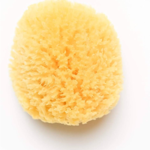 Kyte Baby Natural Sea Sponge, 4 to 5 Inches