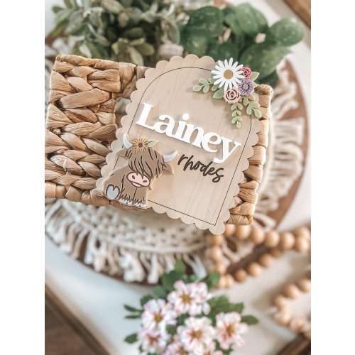 Baby Birth Stats Board, Name Announcement, Birth Announcement, Name Sign, Baby Prop, Highland Cow, Flowers, Western, Baby Girl
