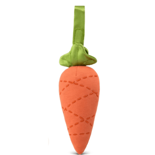 Carrot Stroller Toy