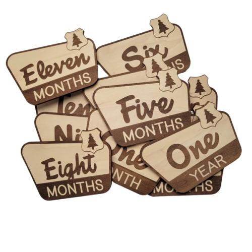 by cherelle lynne National Parks & Recreation Milestone Markers | First Year Newborn Photography Prop | Baby Shower Gift | Infant Monthly Tracker Signs | Laser Cut Engraved Milestone Markers