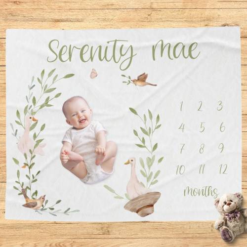Goose Milestone Blanket, Personalized Silly Goose Baby Shower Gift, Custom Blanket, New Baby Gift, Goose Nursery, Photo Prop, Gender Neutral