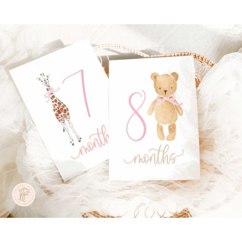 Girl Milestone Cards Milestone Cards Stork Baby Gift - Etsy