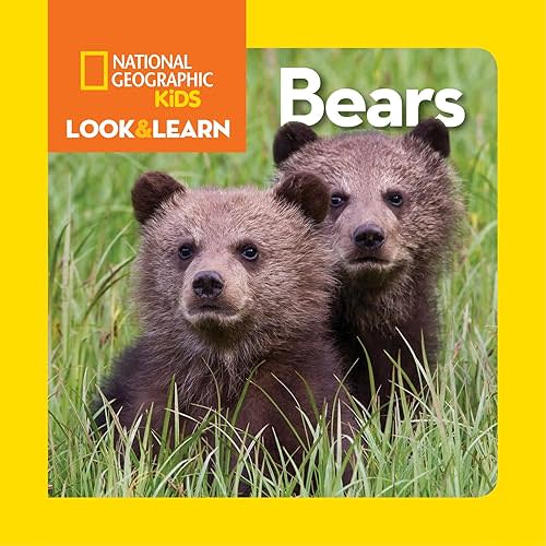 National Geographic Kids Look & Learn: Bears Board book – Picture Book, February 10, 2015