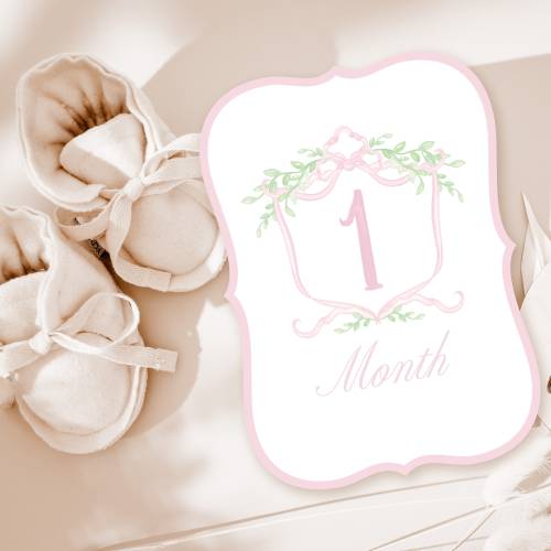 Monthly Milestone Sign for Baby Girl | Personalized Milestone Card with Pink Watercolor Crest & Monogram | Grandmillennial Style