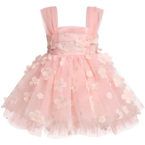 Baby Girls Birthday Party Dres Butterfly Embroidery Princess Tulle Tutu Wedding Pageant Evening Prom Ball Gown