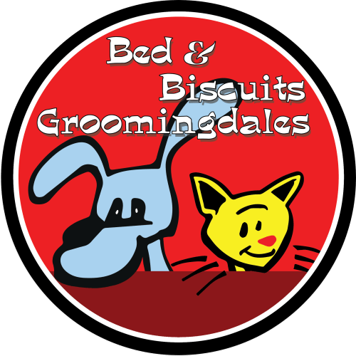 Daycare — Bed & Biscuits Groomingdales