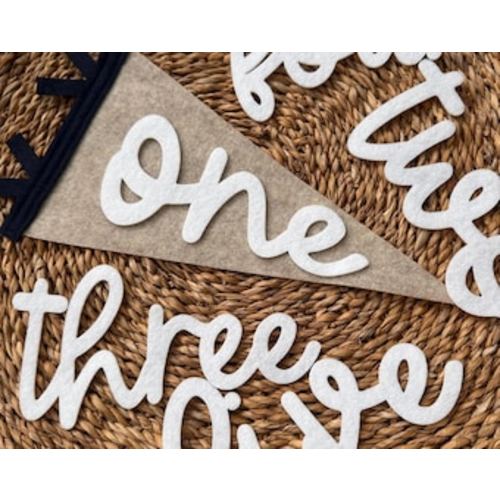 Monthly Milestones Interchangeable Flag for Baby Photos, Newborn Photo Prop First Year, Felt Neutral Pennant, Baby Shower Gift - Etsy