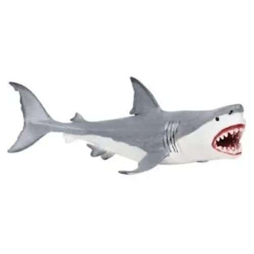 animals limited ltd. shark - Google Search
