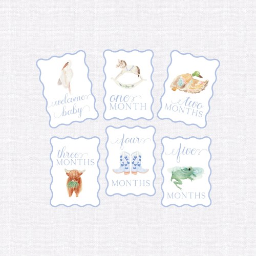Baby Milestone Cards, First Year Cards, Monthly Milestone, Boy Month Cards