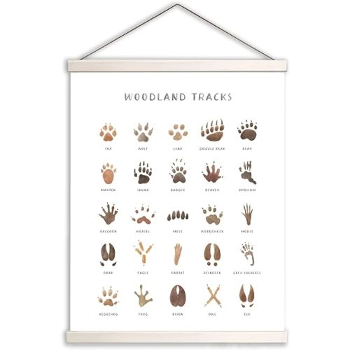 Woodland Animal Tracks Hanging Poster, Woodland Nursery Decor 16x20 Inch, Animal Tracks Canvas Artwork, Forest Nursery Decor, Boy Nursery Wall Decor For Kids