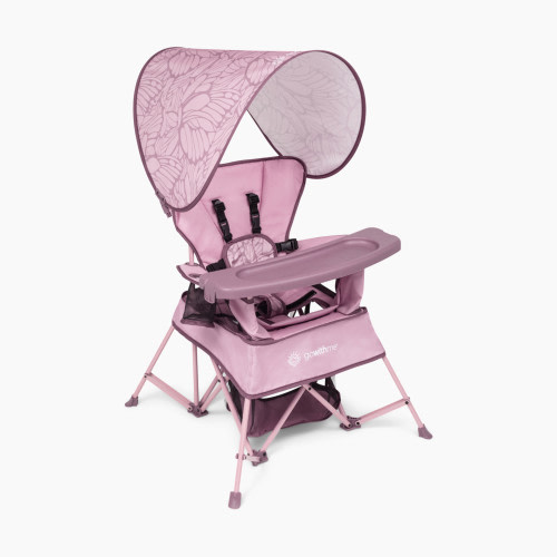 Baby Delight Go With Me Venture Deluxe Portable Chair - Canyon Rose