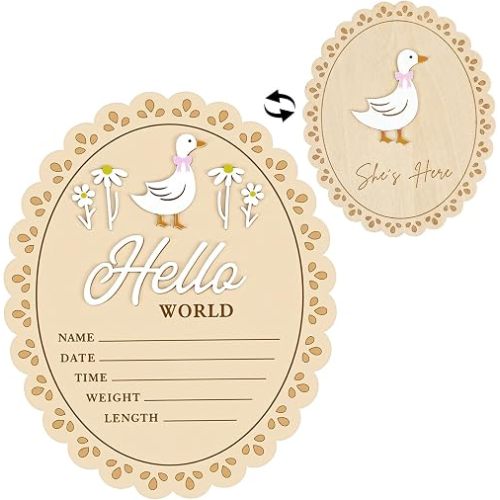 Nogeqi Wood Baby Announcement Sign, Hello World Newborn Sign, Baby Name Sign, Babies Nursery Decor Name Plaques for Hospital Newborns Show Photo Prop Newborns Souvenirs(Daisy Goose)